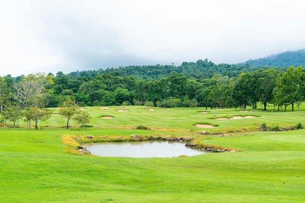 Green with Sand bunkers on Golf course