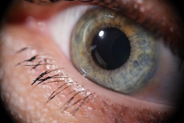 Green woman eye with mascara on eyelashes macro shot of female eye looking away natural beauty