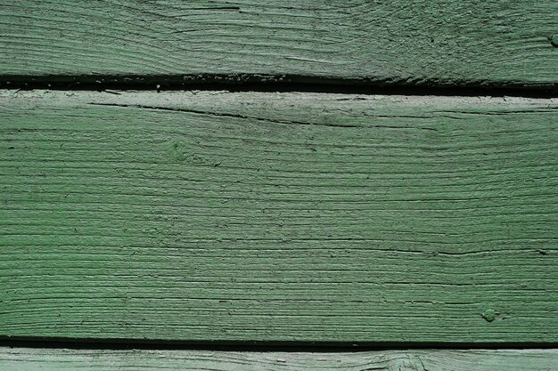 Green wood background texture.