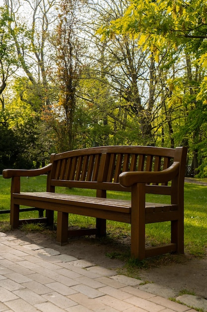 Green wooden bench in the park on sunny day in autumn spring summer season Public Olivia park