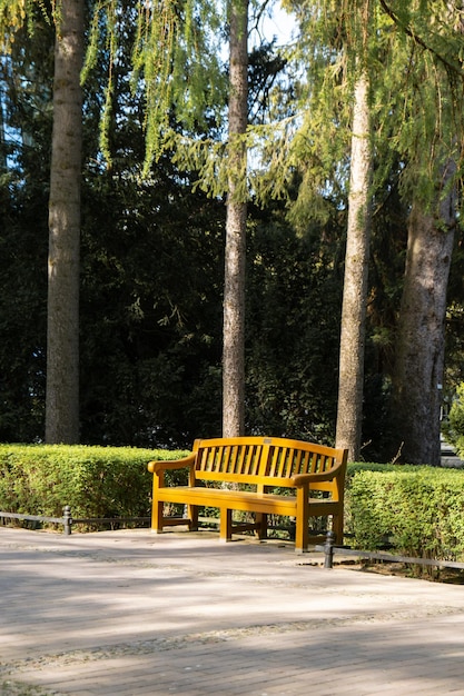 Green wooden bench in the park on sunny day in autumn spring summer season Public Olivia park