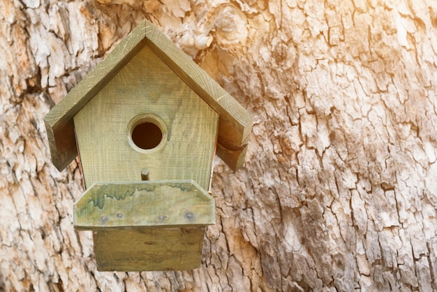 Green wooden birdhouse on trunk of tree