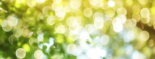 Photo green and yellow bokeh light background