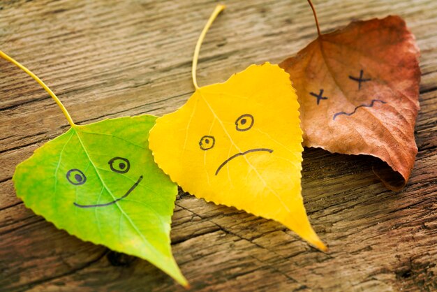 Green yellow and brown leaves with a picture of happy and sad faces on the old wooden background