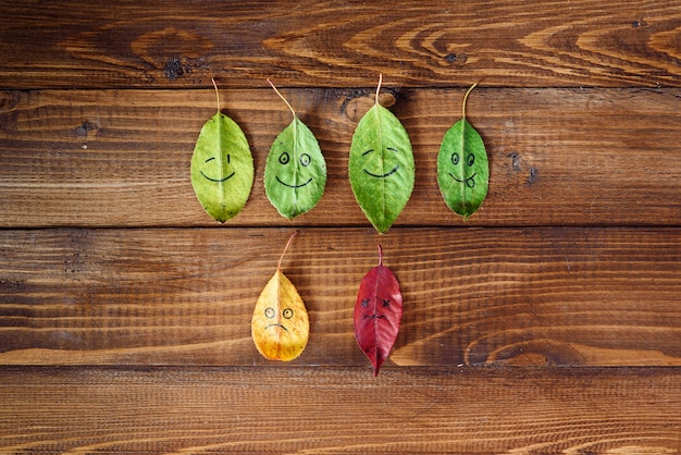 Green, yellow and red fallen leaves with different emoji 