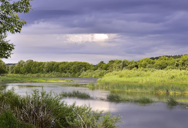 The green zhifopisny bank of the Inya River Novosibirsk Region Siberia Russia