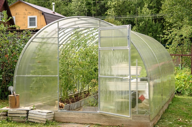 Greenhouse in the backyard with an open door Growing tomatoes and cucumbers in the summer in your garden