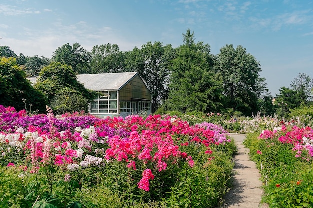 Greenhouse in the garden among the flowers A park full of pink flowers Flower garden