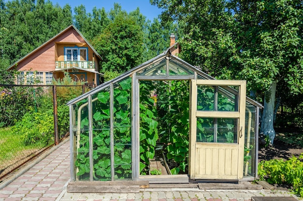 A greenhouse with a door that says'cucumber'on it