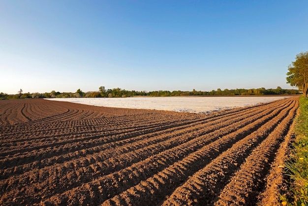 Greenhouses in the field