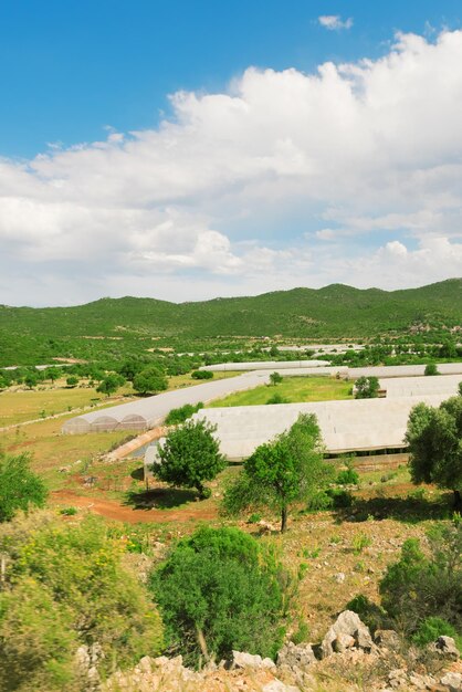 Greenhouses in a greem mountain valley sunny Toned