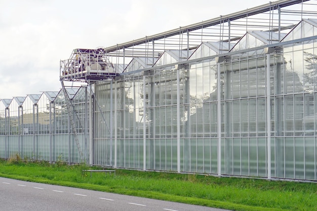 Greenhouses in Holland High tech industrial production of vegetables and flowers