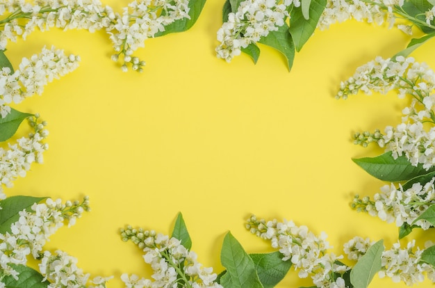 Greeting card background, delicate cherry flowers on a yellow background in the form of a frame with copy space