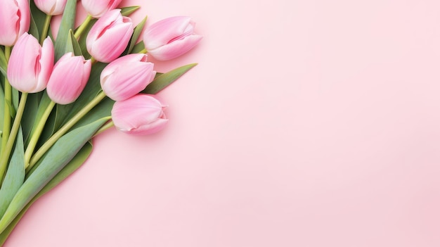 Greeting card of bouquet of pink tulips on a pastel pink background with copy space