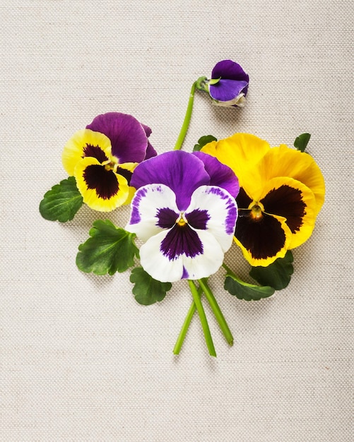 Photo greeting card with beautiful pansies mothers day concept flower arrangement on fabric background