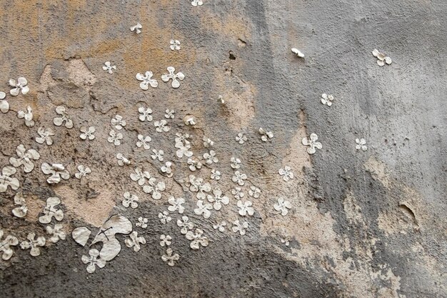 Grey concrete surface with plaster chipping and small white flowers