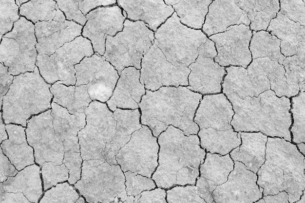 grey dried and cracked ground earth background