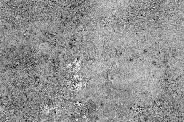 Grey grunge texture cement wall. copy space