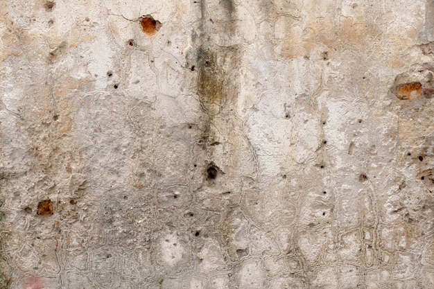 Grey grunge texture cement wall. copy space