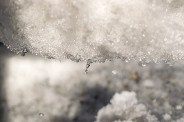 Grey Melted Snow on the Ground in Early Spring Dripping Springtime Texture