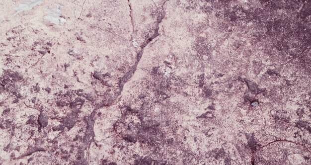 Grey Old cement texture background. horizontal cement and concrete texture.