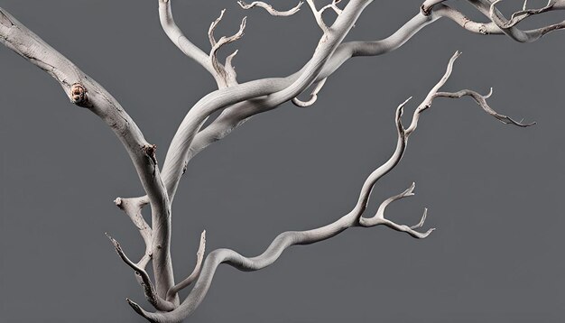 Photo grey twisted branches