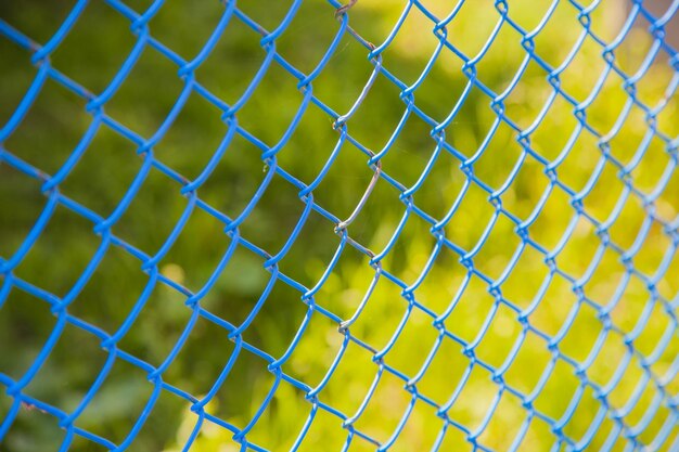 Grid texture on green background