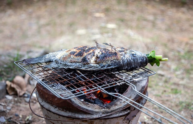 Grill fish outdoor with hot coal on iron net with herb