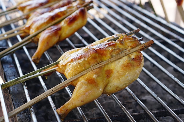 Grilled chicken on a golden casserole