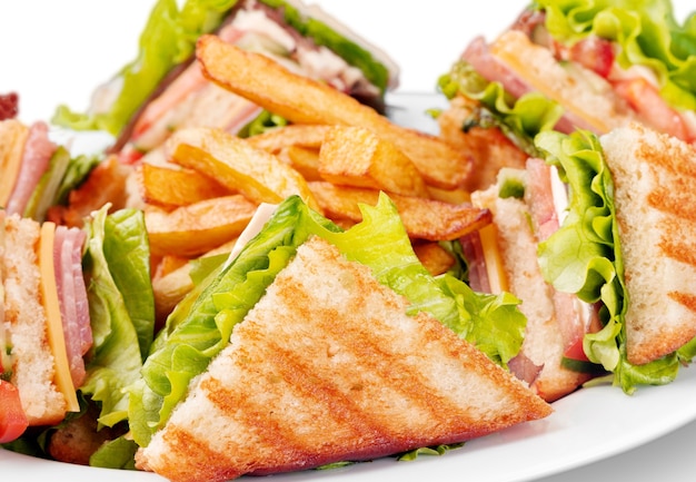 Grilled sandwiches with french fries on white plate