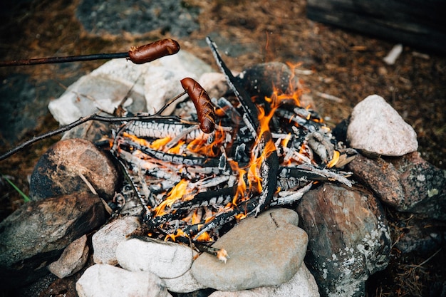 Grilled sausages above the campfire in summer forest