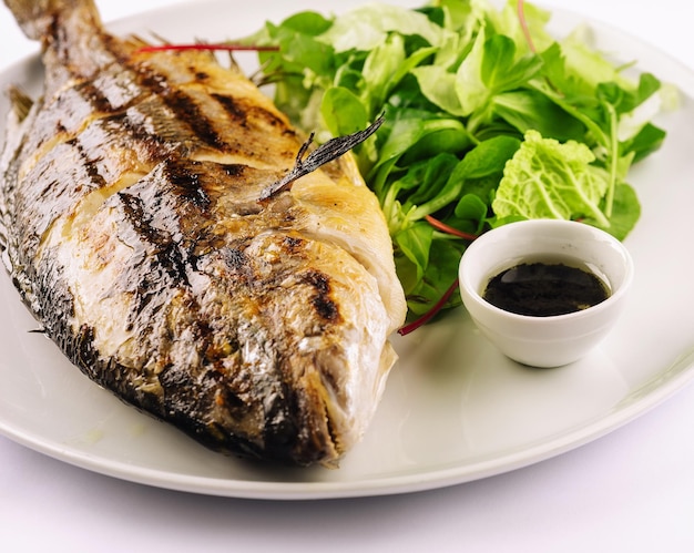 Grilled trout and lettuce on a white plate