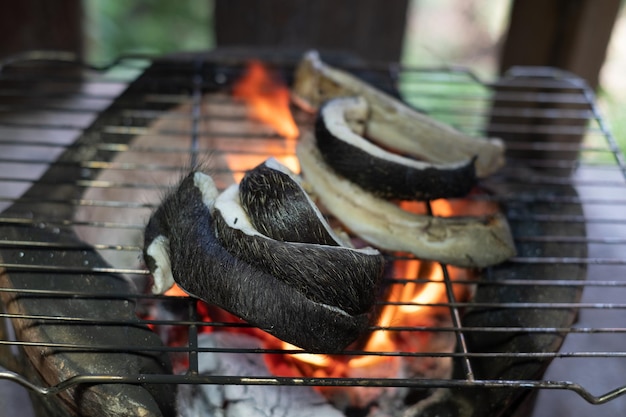 Grilling a slice of buffalo buff over an open charcoal fire