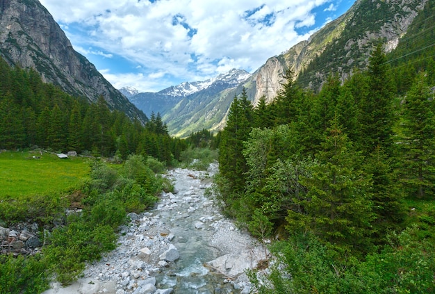 Grimsel Pass summer landscape with river and fir forest (Switzerland, Bernese Alps).