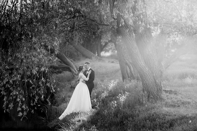 The groom and the bride are walking in the forest near a narrow river on a bright day