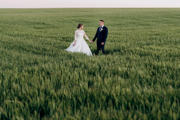 The groom and the bride walk along the wheat green field on a bright day