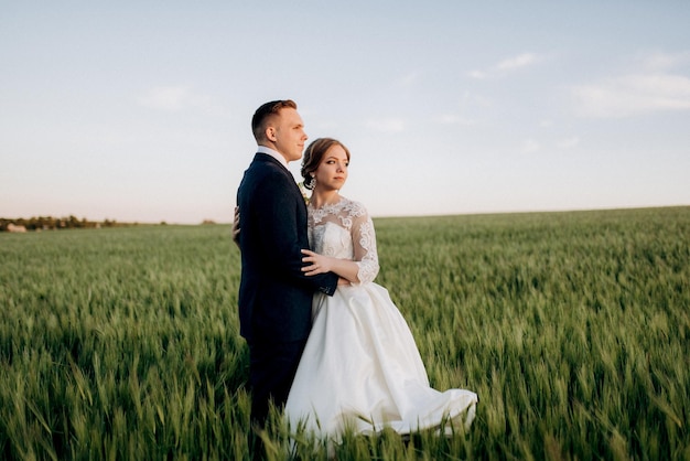 The groom and the bride walk along the wheat green field on a bright day