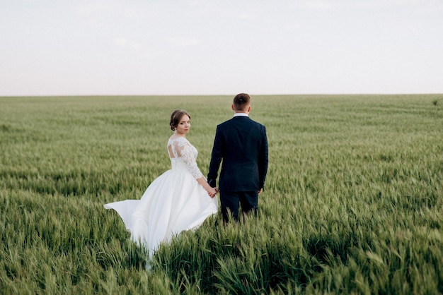 The groom and the bride walk along the wheat green field on a bright day