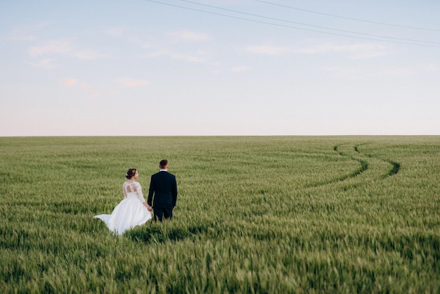 The groom and the bride walk along the wheat green field on a bright day