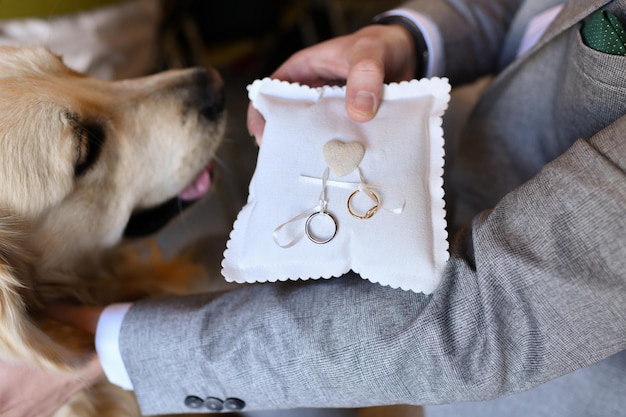 The groom takes the wedding rings on the pillow