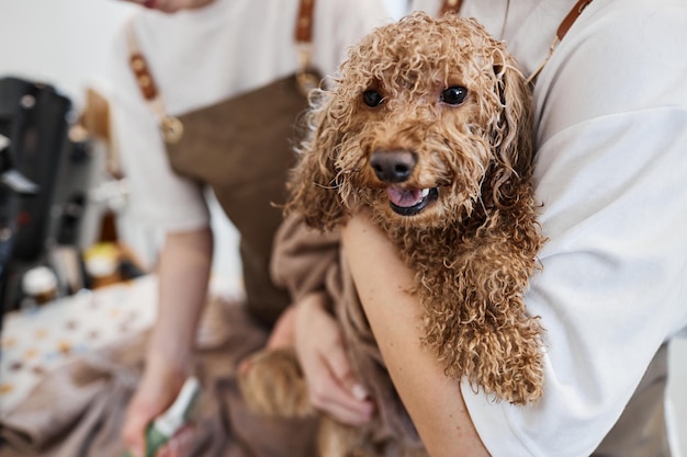 Photo groomer holding happy wet dog