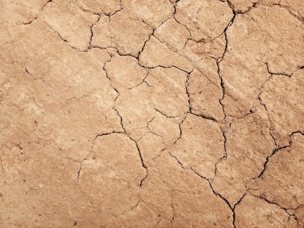 The ground has cracks in the top view for the background