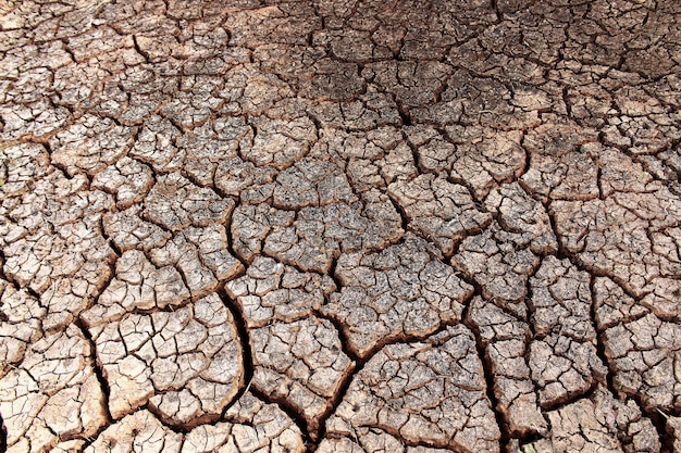 The ground has cracks in the top view for the background