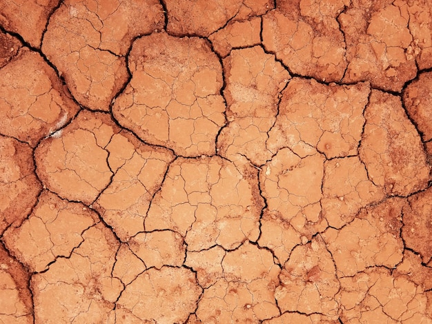 The ground has cracks in the top view for the background