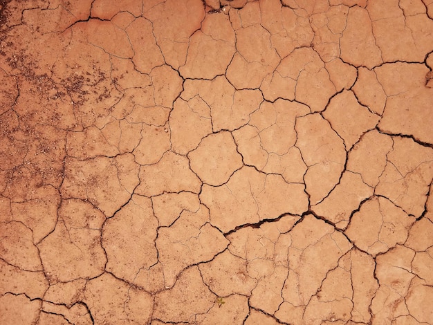 The ground has cracks in the top view for the background