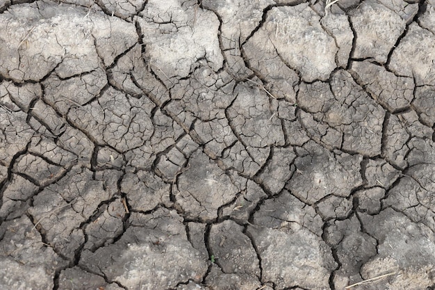 The ground has cracks in the top view for background