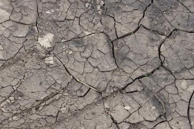 The ground has cracks in the top view for background