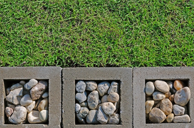 Ground is decorated in the garden with green grass gravel and completes the survey