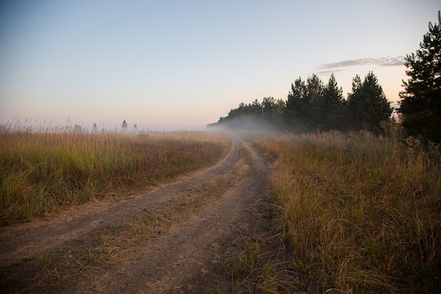 Ground road into fog at summer sunrise