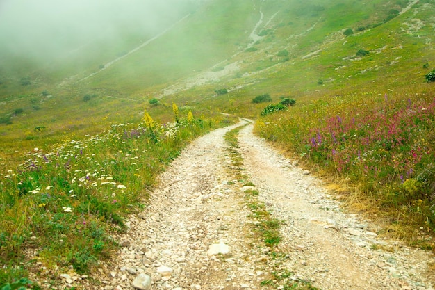 Ground road in nature Armenia Summer